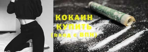 прущий лед Пересвет