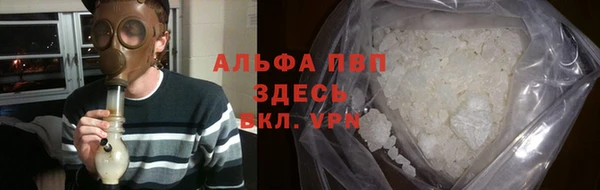 прущий лед Пересвет