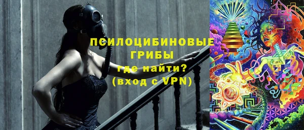 прущий лед Пересвет