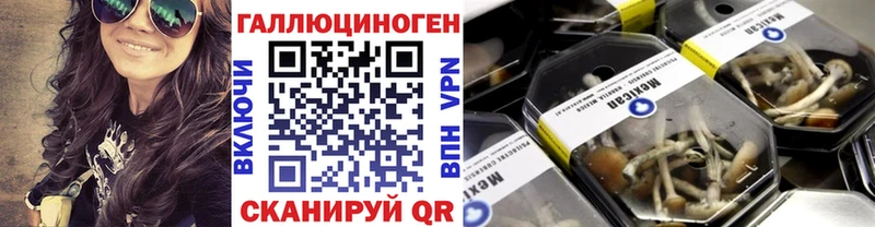 Псилоцибиновые грибы Cubensis  дарк нет формула  Инза 